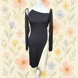 Eva Franco Simone Dress Black Cream Colorblock Mesh Sleeve Bodycon 6